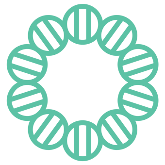 Plasmid DNA